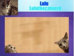 old Luluthecatnerd announcement template Meme Template