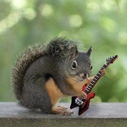 Guitar Squirrel Meme Template