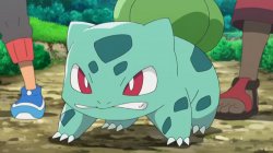 Bulbasaur (Pokemon) Meme Template