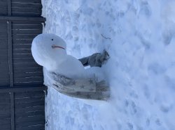 Leaning snow person Meme Template
