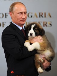 Putin birthday puppy Meme Template