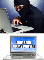 ninja computer Meme Template