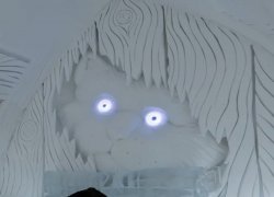 Surprised cat in ice hotel Meme Template