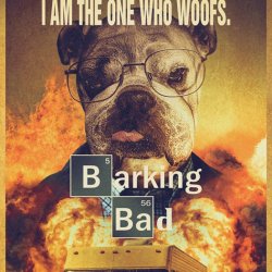Barking Bad Meme Template
