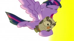 Twilight Escapes From Explosion (MLP) Meme Template