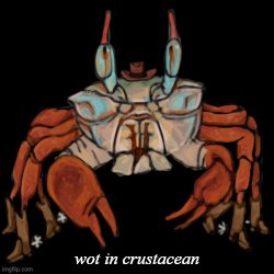 wot in crustacean Meme Template