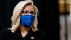 Liz cheney Meme Template