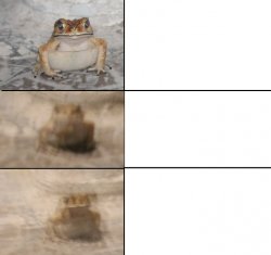 Toad go brr Meme Template