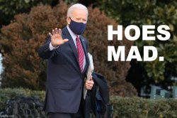 Joe Biden hoes mad Meme Template