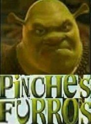 Shrek Pinches Furros Meme Template