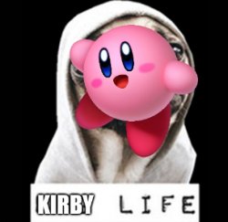 #Kirby Life Meme Template