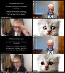 Cat lawyer zoom meeting Meme Template