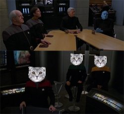 Voyager Holo-Filter Meme Template