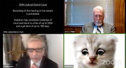 Cat in Zoom Meme Template