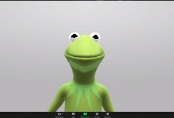 Kermit Zoom Meme Template