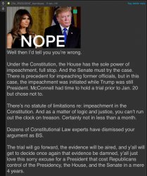 Kamikaze roast Trump impeachment Meme Template