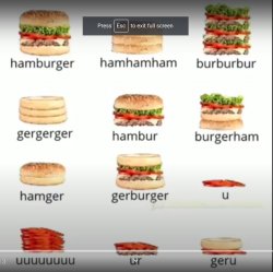 types of hamburgers Meme Template