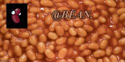 Bean announcement Meme Template