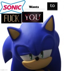Sly sonic Meme Template