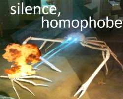 Silence homophobe Meme Template