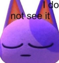 I do not see it Meme Template