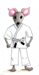 Rat Mouse Judo Karate Meme Template