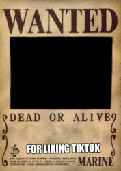 WANTED for liking tik tok Meme Template