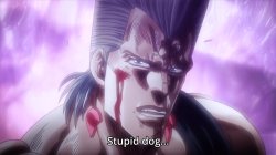 Polnareff Stupid dog... Meme Template