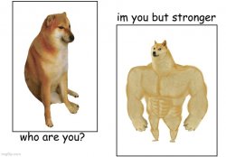 Who are you, but with Buff Doge 'n' Cheems Meme Template