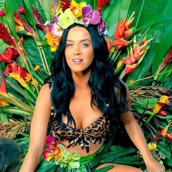 Katy Perry Roar Meme Template