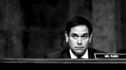 Little Marco Rubio Meme Template