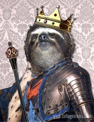 Sloth king Meme Template