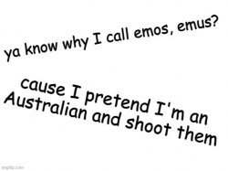 Ya know why I call emos emus? Meme Template