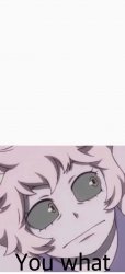 mina you what Meme Template