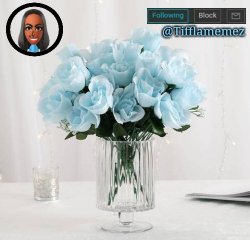 Tifflamemez light blue roses announcement template Meme Template