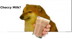doge choccy milk Meme Template