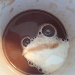 Coffee Frog Meme Template