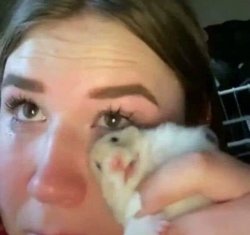 girl crying with hamster Meme Template
