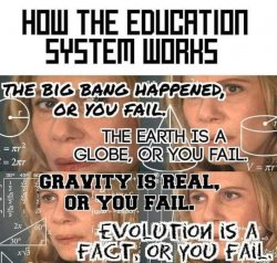 How the education system works Meme Template