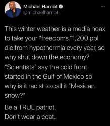Winter storm conservative logic Meme Template