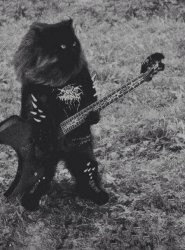 Black Metal Cat Meme Template