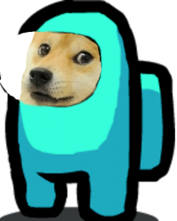 Among Us Doge Meme Template