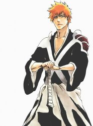 Bleach Ichigo Kurosaki manga Meme Template