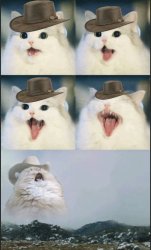 Country Roads Cat Meme Template