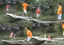 EDGAR SE CAE Meme Template