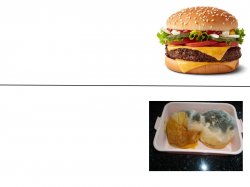 Good Burger Vs. Moldy Burger Meme Template