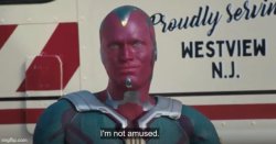 I’m not amused vision Meme Template