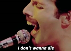 Freddie Mercury I don't wanna die Meme Template