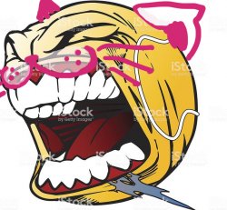 Let’s fucking go cat version Meme Template