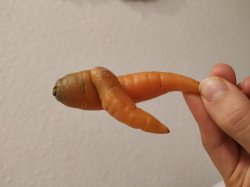 Dancing carrot Meme Template